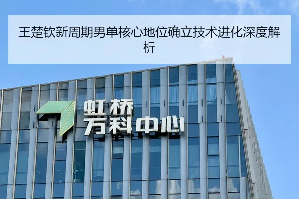 王楚钦新周期男单核心地位确立技术进化深度解析