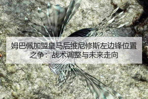 姆巴佩加盟皇马后维尼修斯左边锋位置之争：战术调整与未来走向